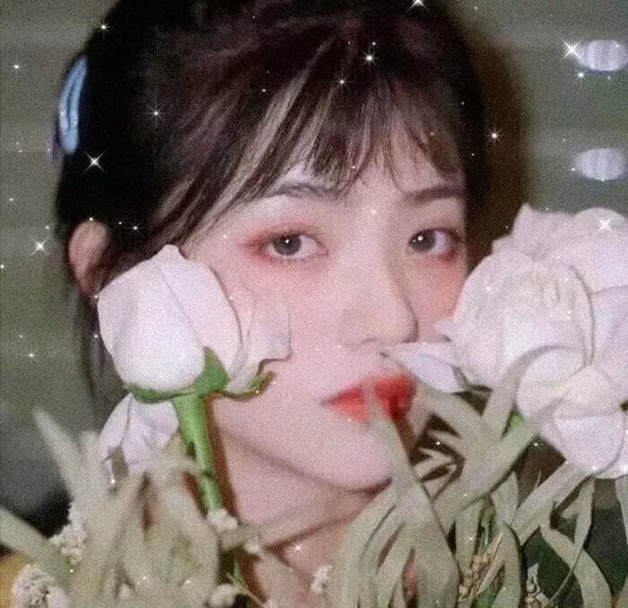 迷蝶